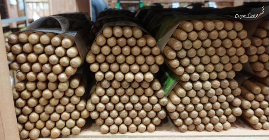 為何店家專屬雪茄不在年度雪茄排行榜中 | 部落格