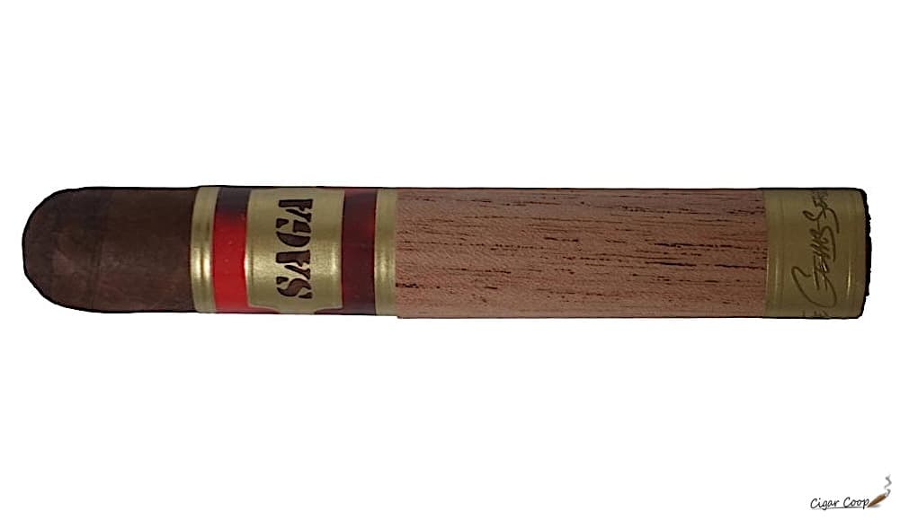 De Los Reyes Cigars 的 Saga Ambar Robusto 雪茄評鑑