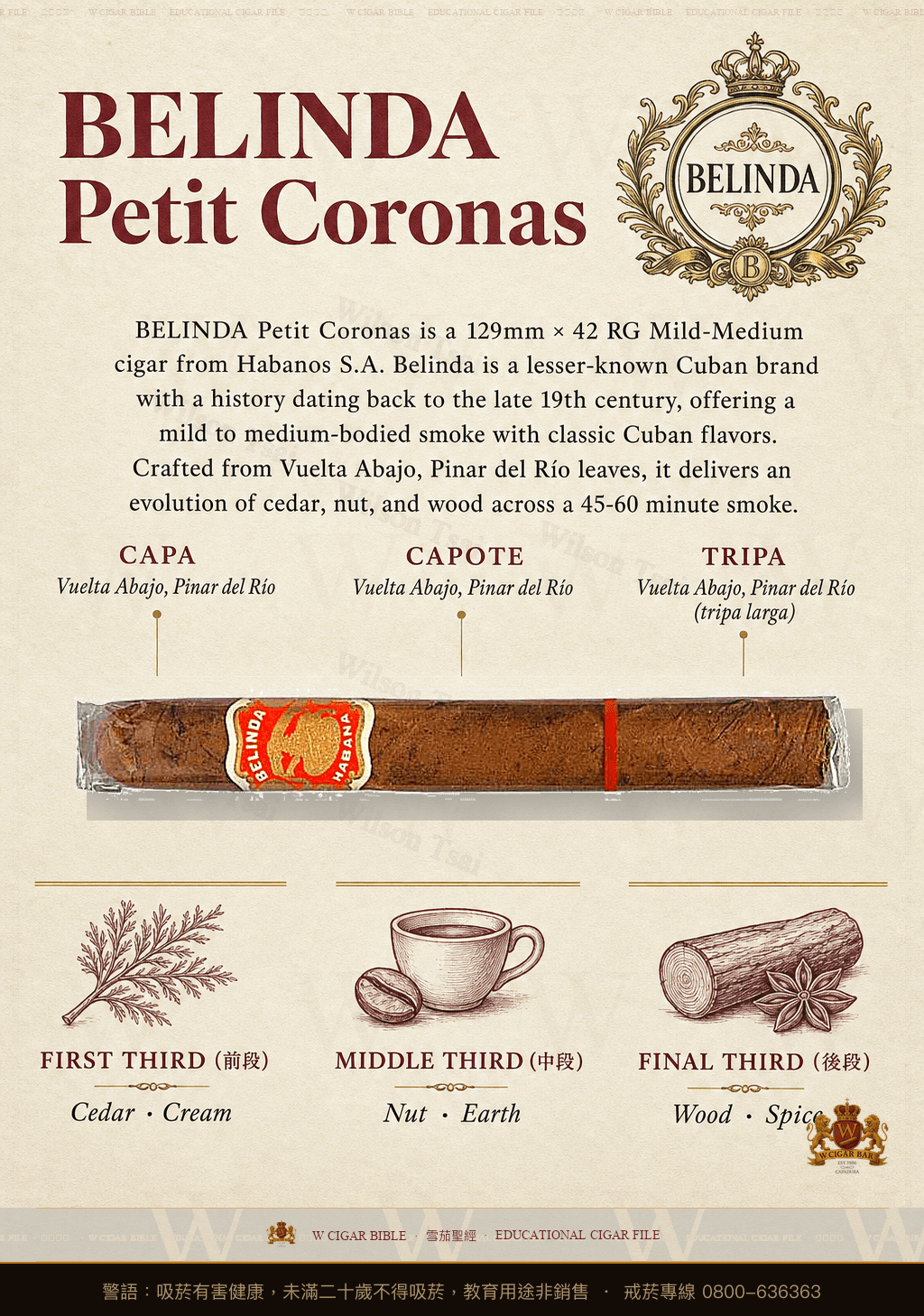 Belinda Petit Coronas · 貝琳達