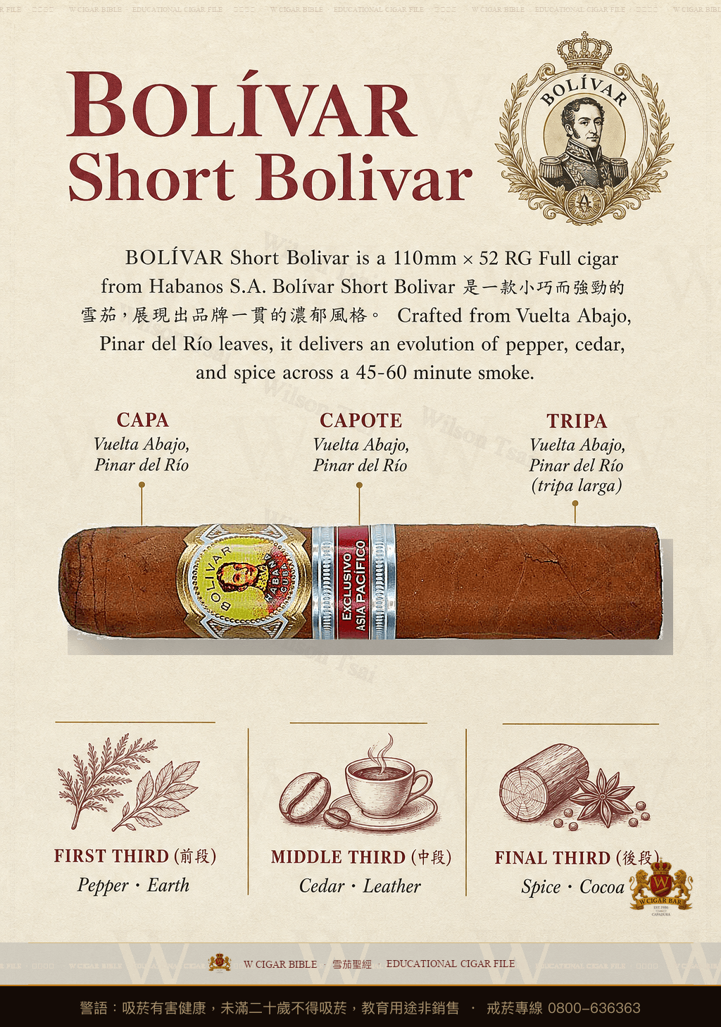 Bolívar Short Bolivar · 玻利瓦