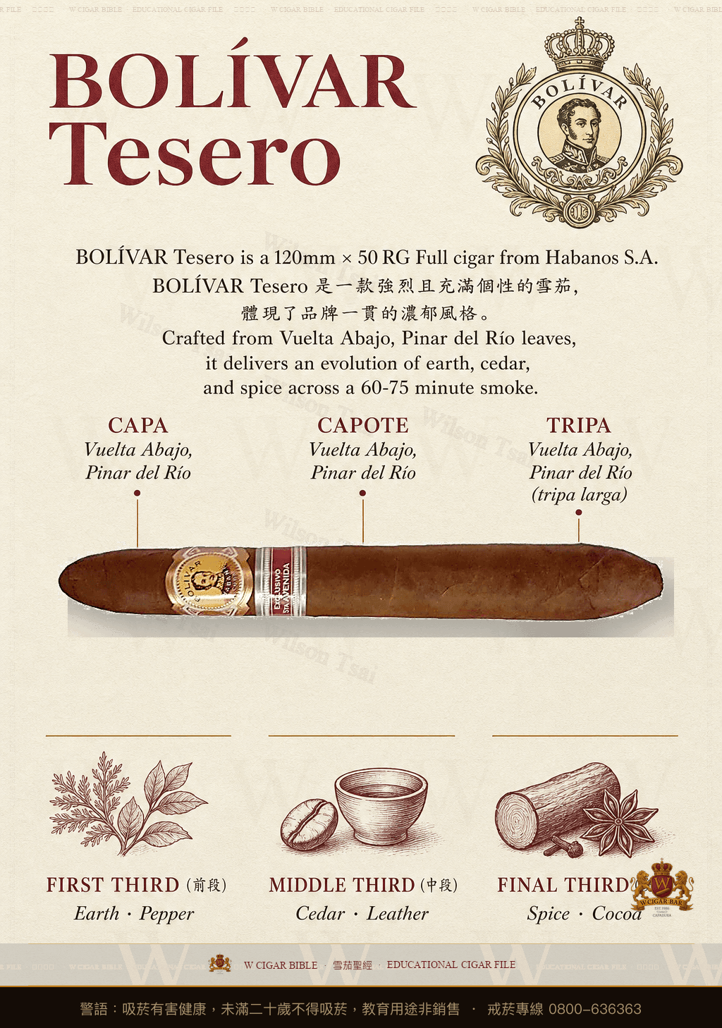 Bolívar Tesero · 玻利瓦