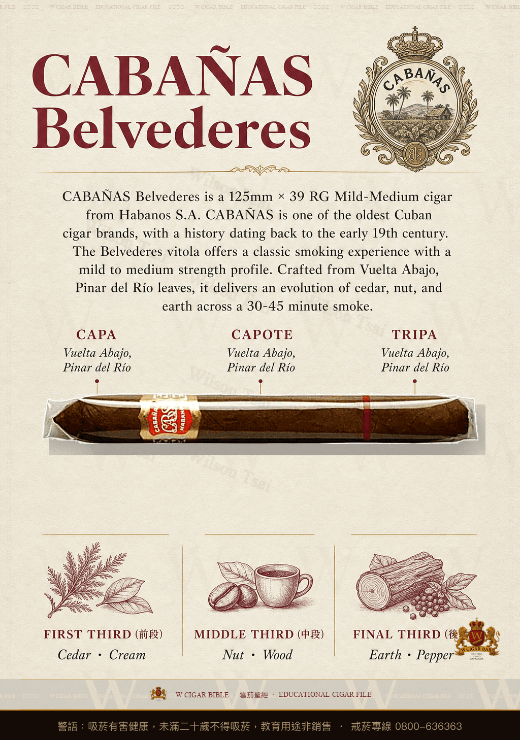 Cabañas Belvederes · 卡巴納斯