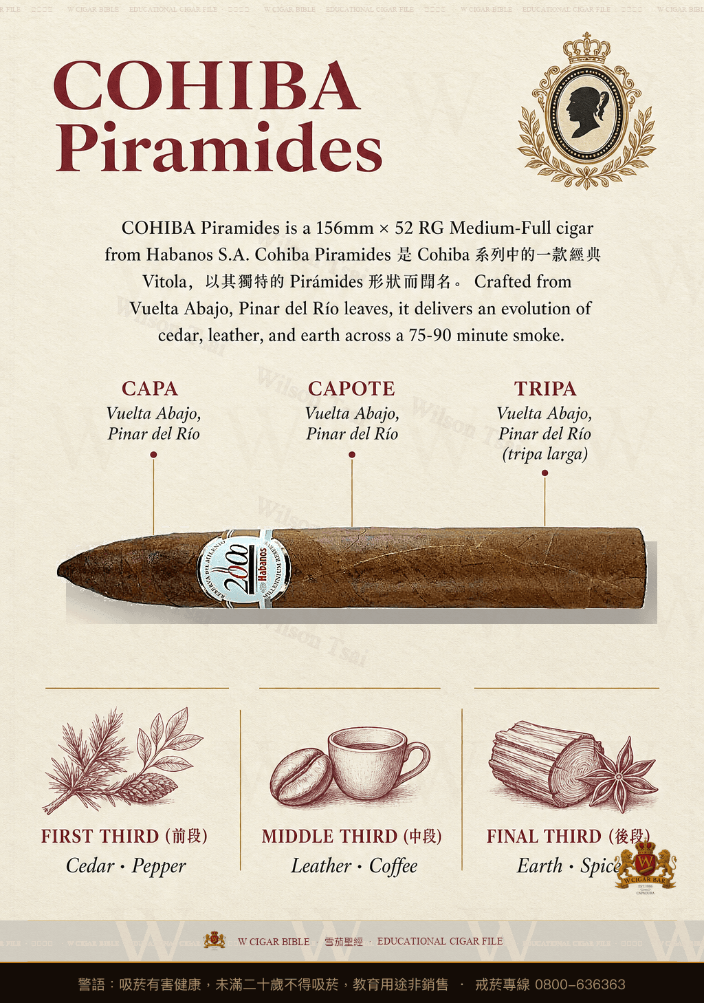 Cohiba Piramides · EL 2006 · 高希霸