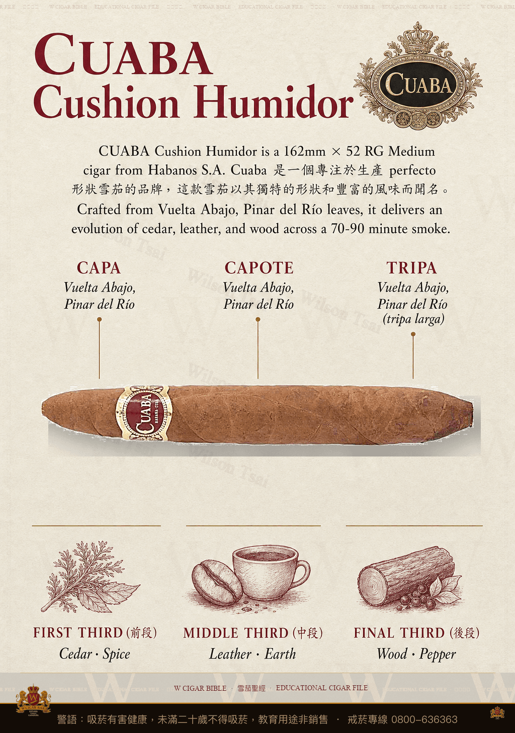 Cuaba Cushion Humidor · 特別木盒 · 庫阿巴