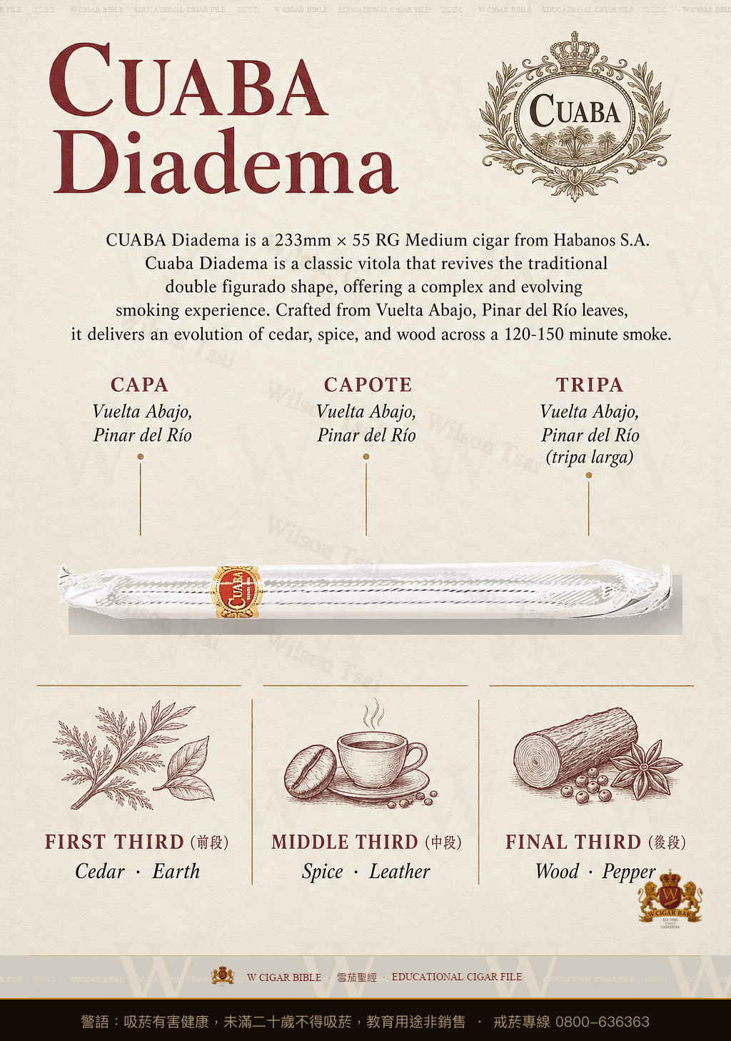 Cuaba Diadema · 庫阿巴