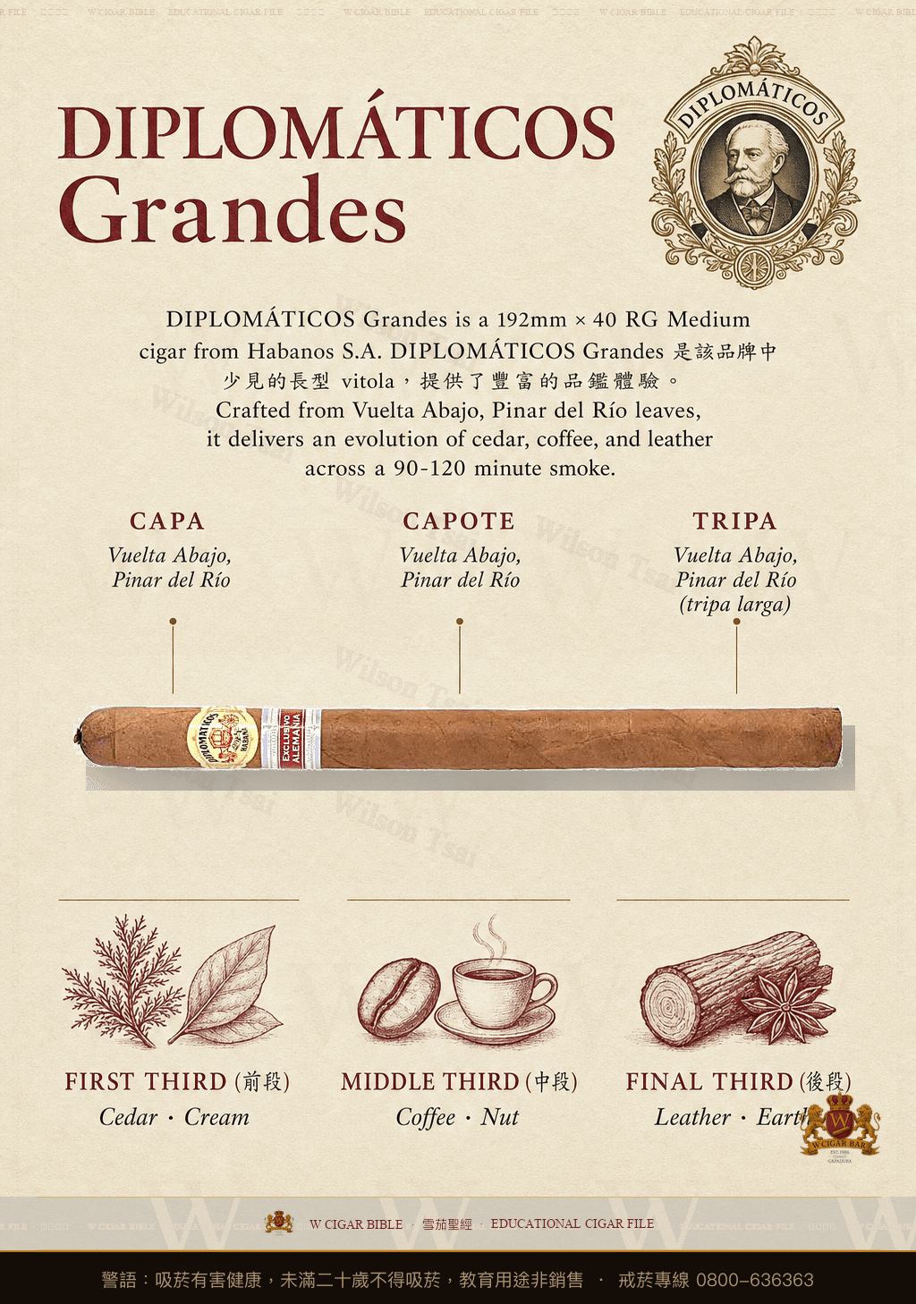Diplomáticos Grandes · ER Alemania · 外交官
