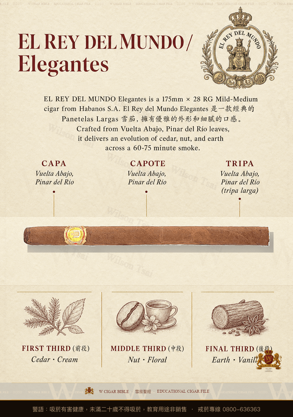 El Rey Del Mundo Elegantes · 世界之王
