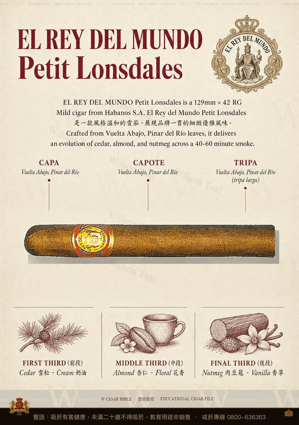 El Rey Del Mundo Petit Lonsdales · 世界之王