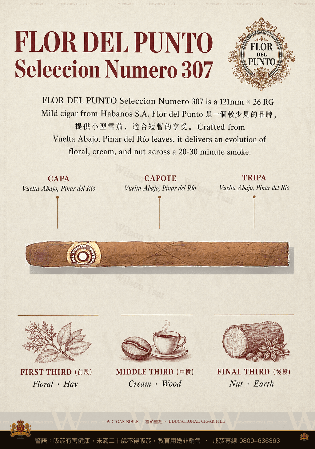 Flor Del Punto Seleccion Numero 307 · 彭多之花