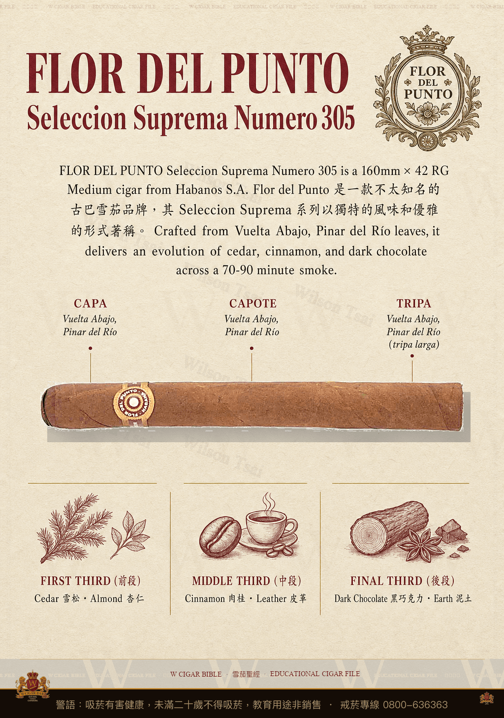 Flor Del Punto Seleccion Suprema Numero 305 · 彭多之花