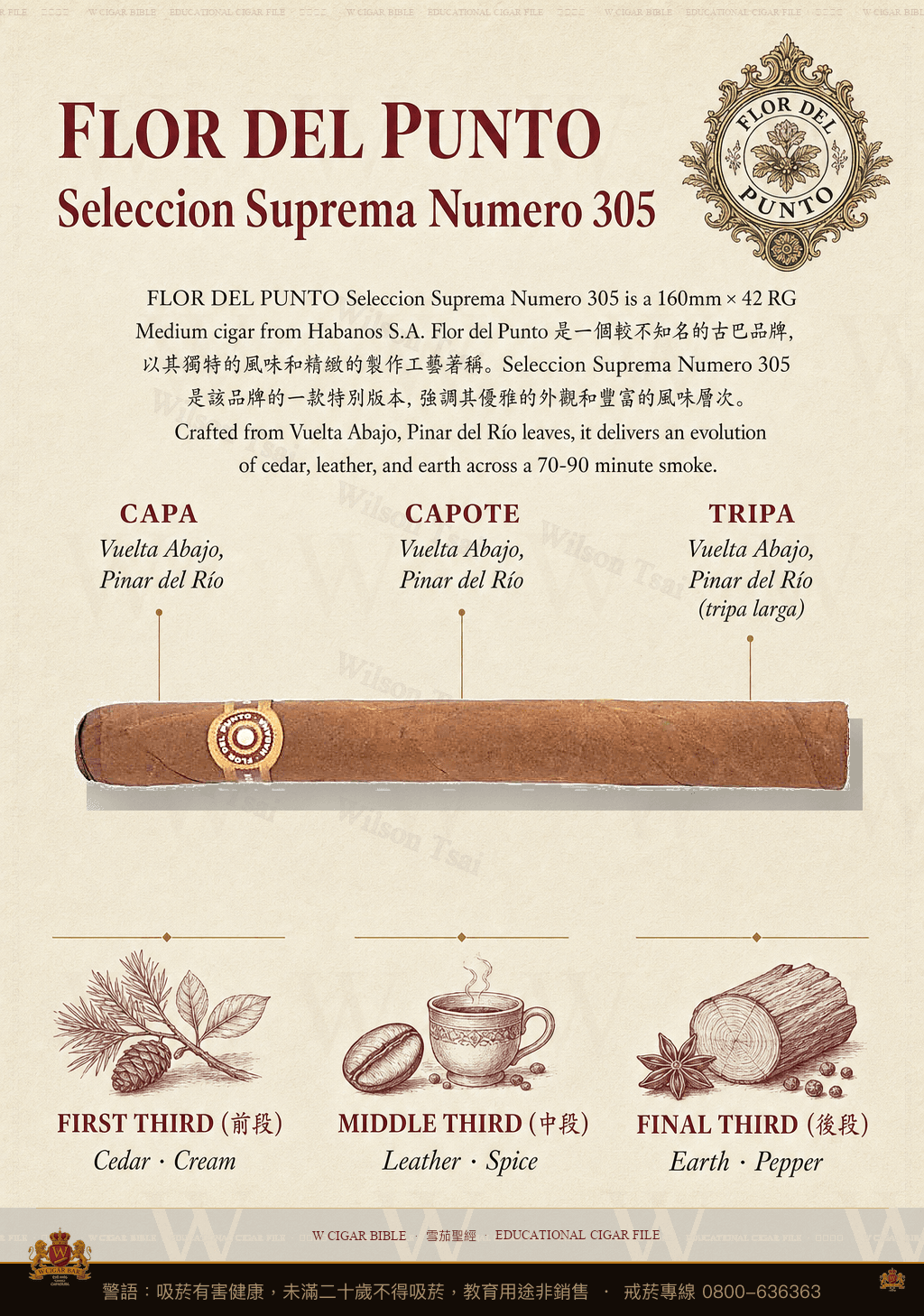Flor Del Punto Seleccion Suprema Numero 305 · 彭多之花
