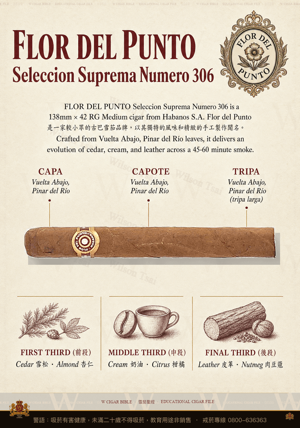 Flor Del Punto Seleccion Suprema Numero 306 · 彭多之花