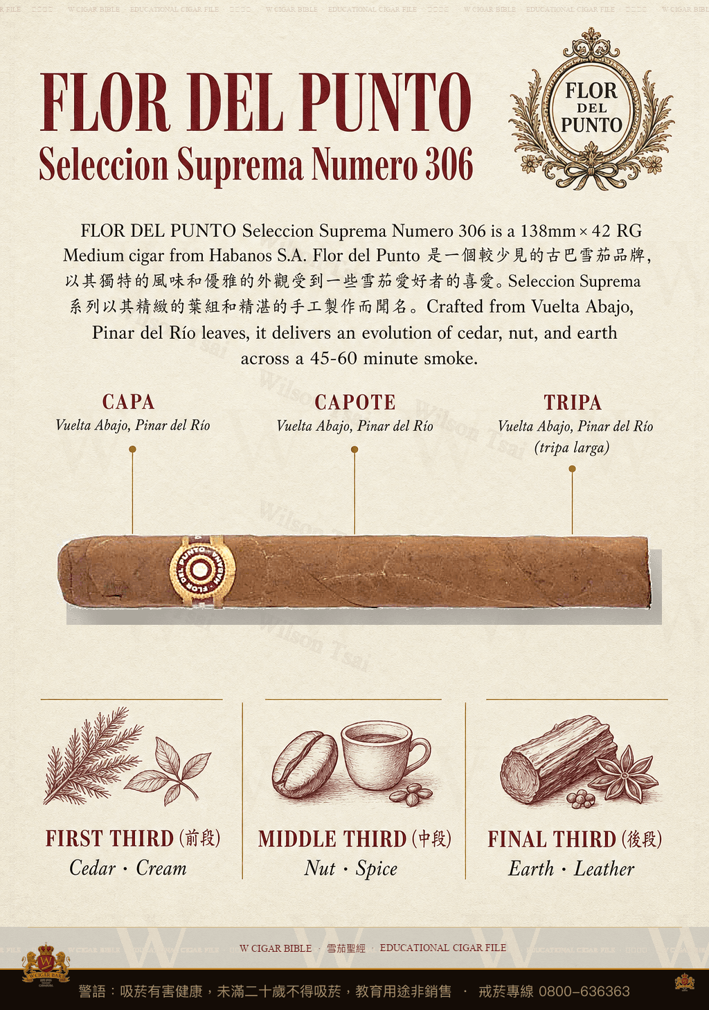 Flor Del Punto Seleccion Suprema Numero 306 · 彭多之花