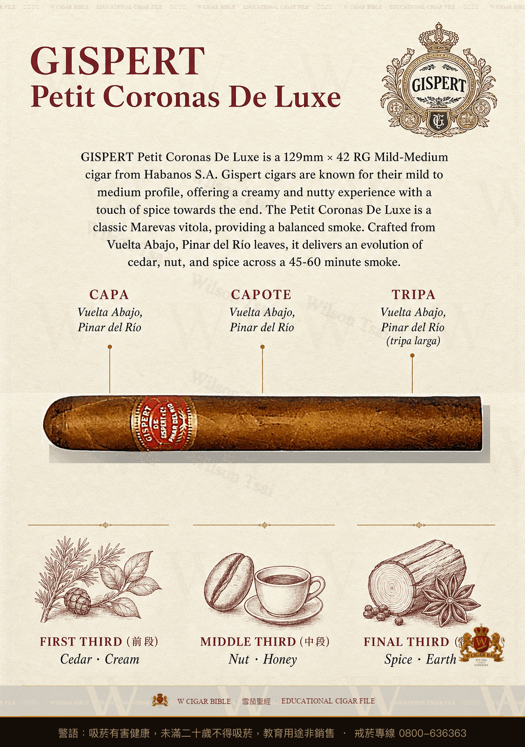 Gispert Petit Coronas De Luxe · 吉斯佩特