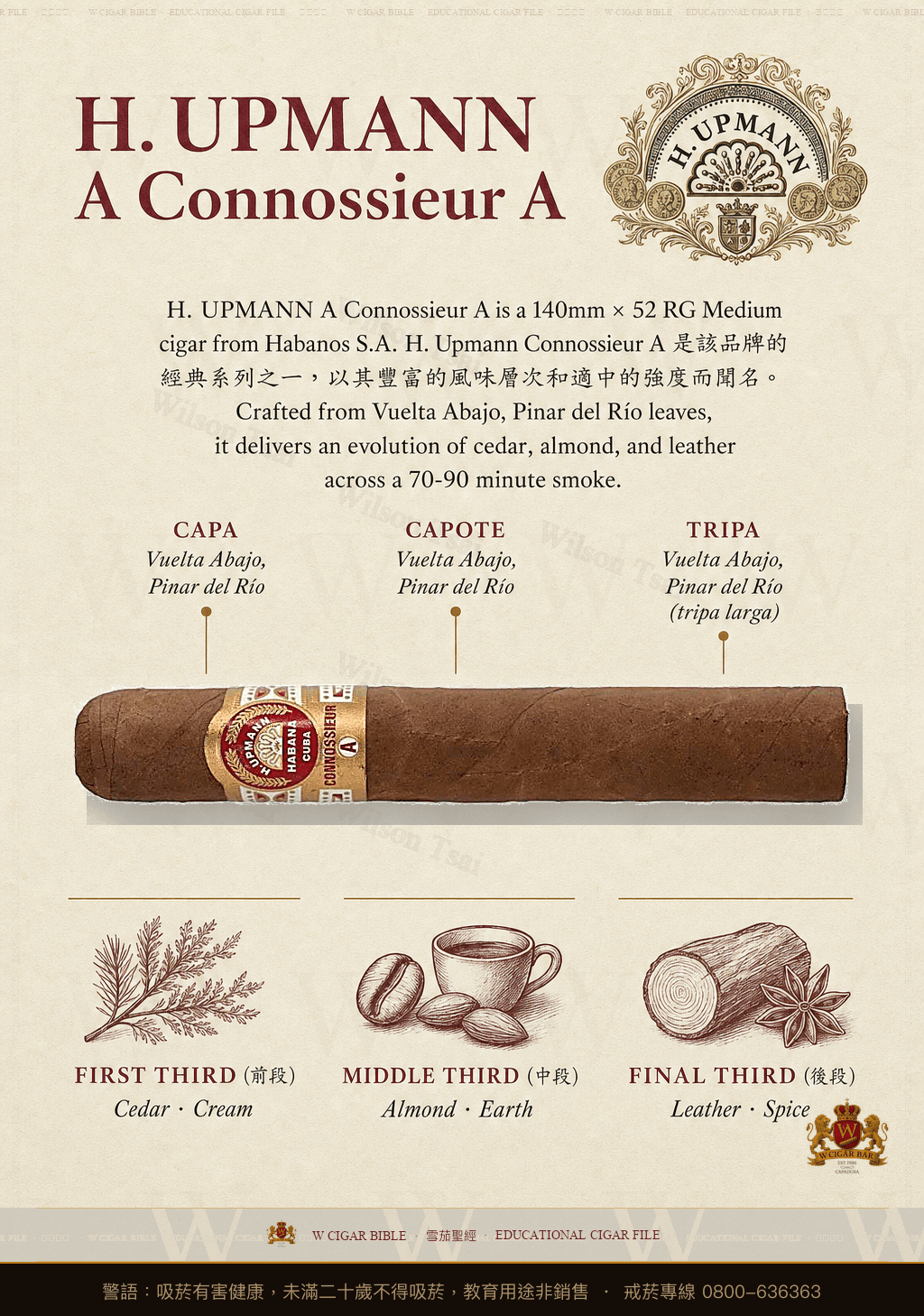 H. Upmann Connossieur A · 烏普曼