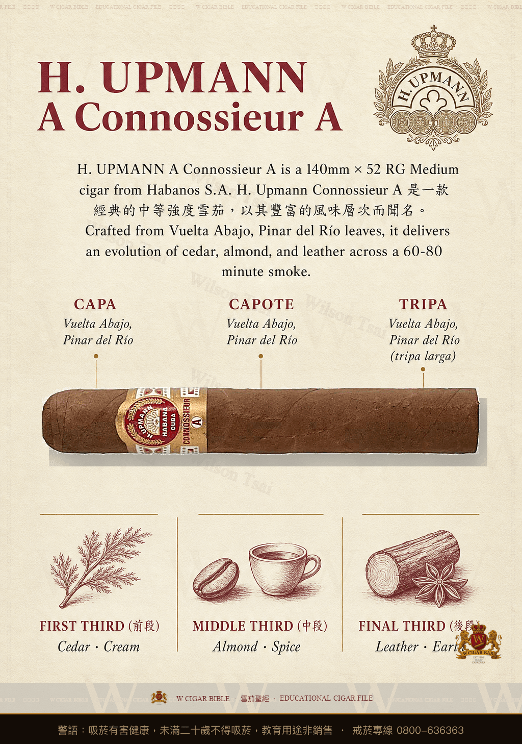 H. Upmann Connossieur A · 烏普曼
