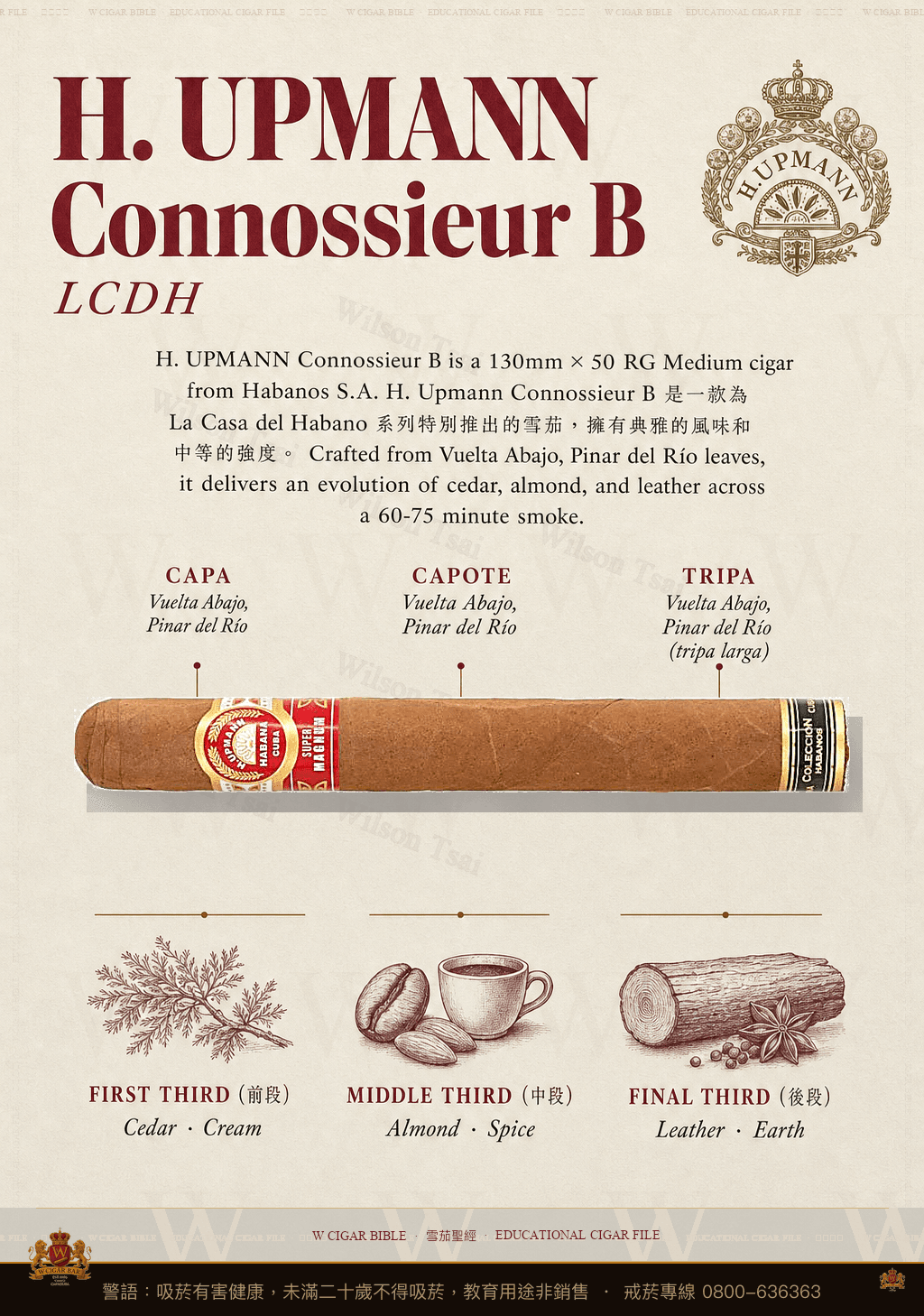 H. Upmann Connossieur B · LCDH · 烏普曼