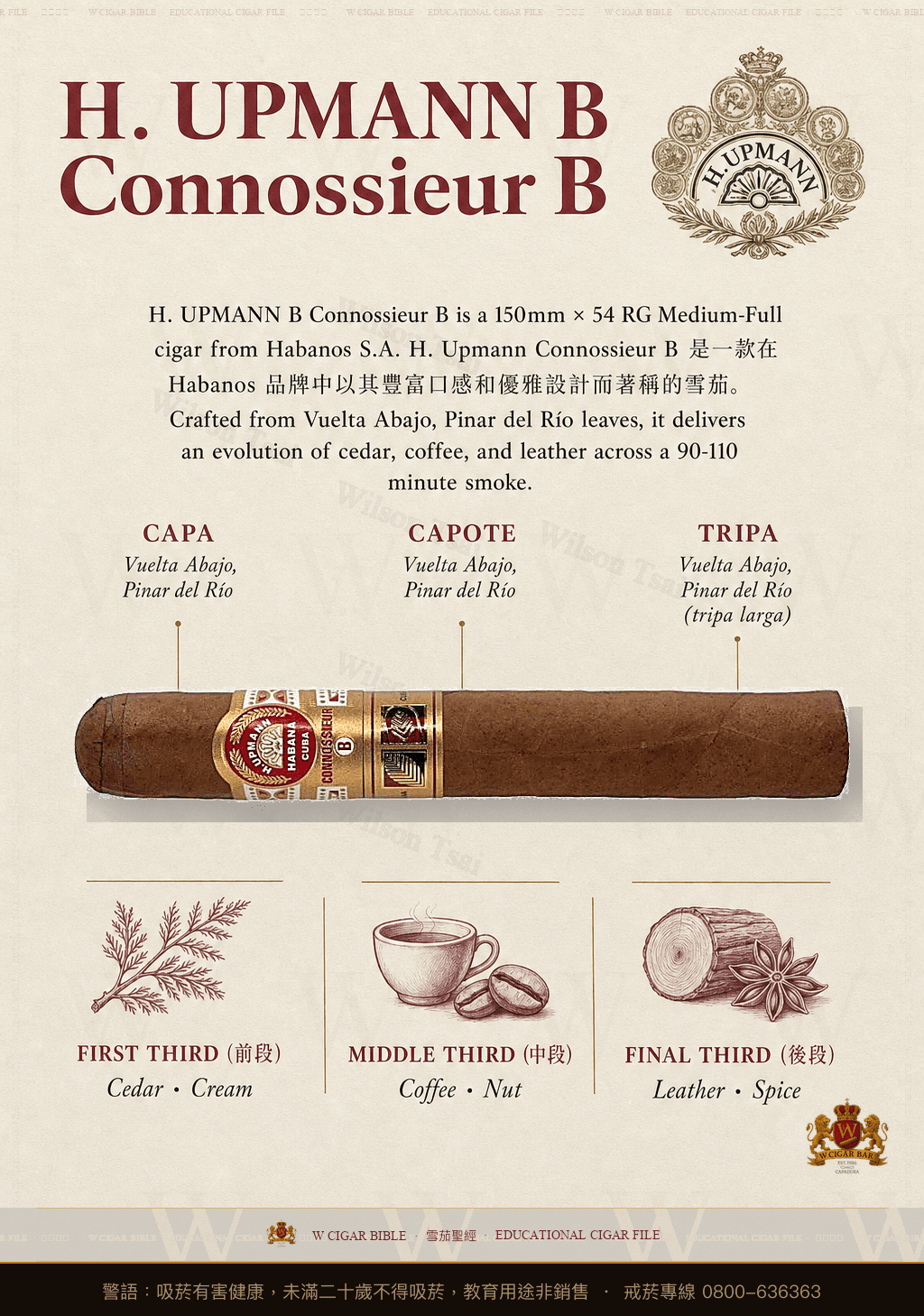 H. Upmann Connossieur B · 烏普曼