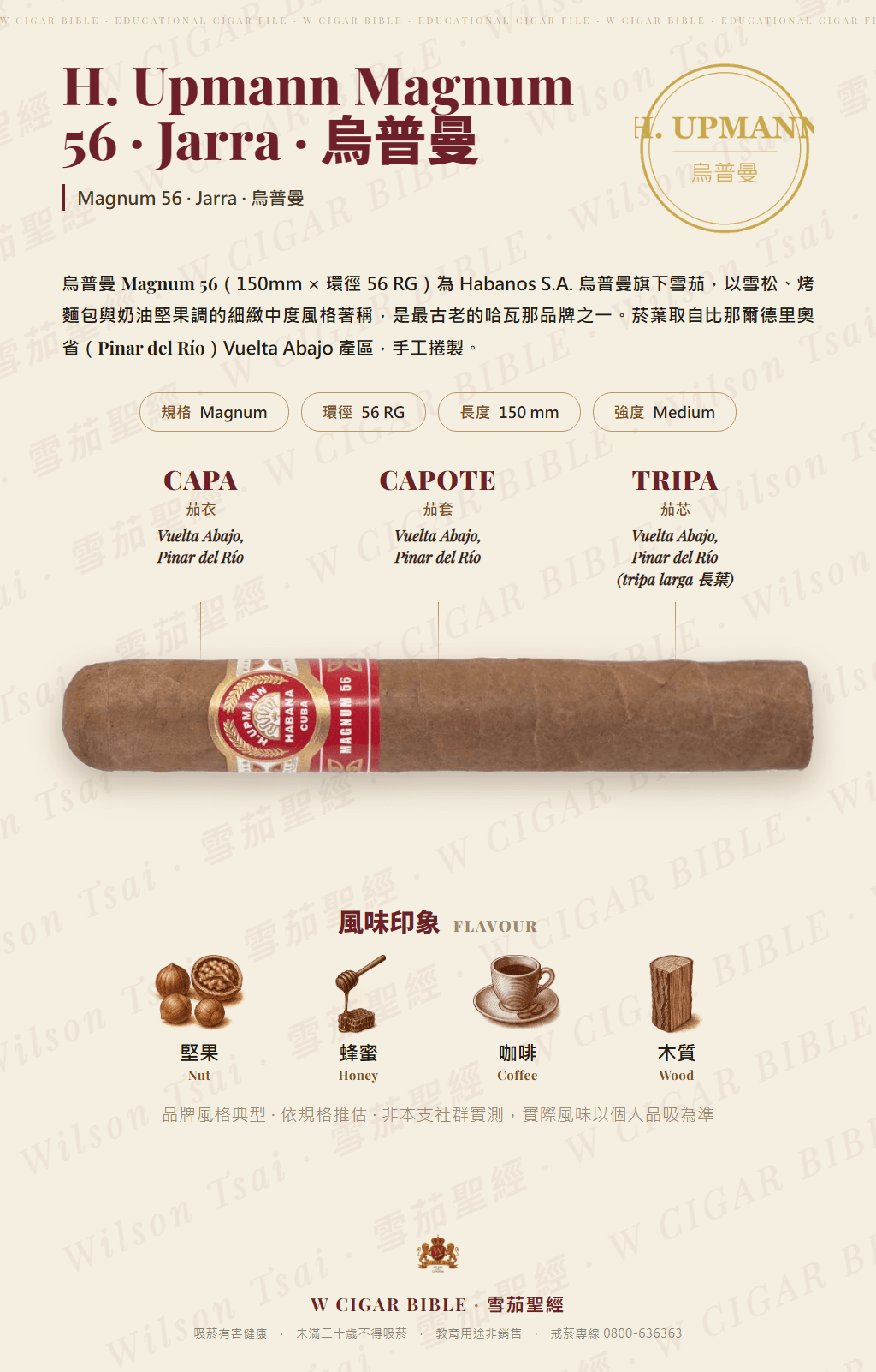 H. Upmann Magnum 56 · Jarra · 烏普曼