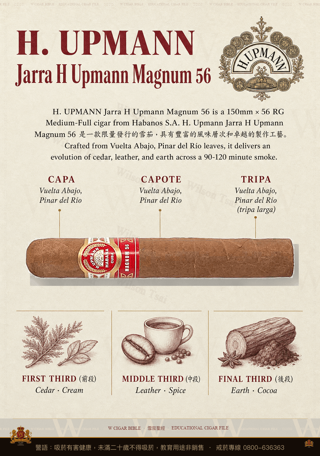 H. Upmann Jarra H Upmann Magnum 56 · 烏普曼