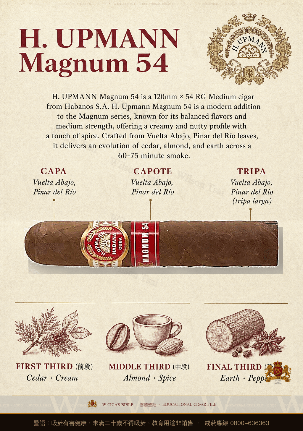 H. Upmann Magnum 54 · 烏普曼