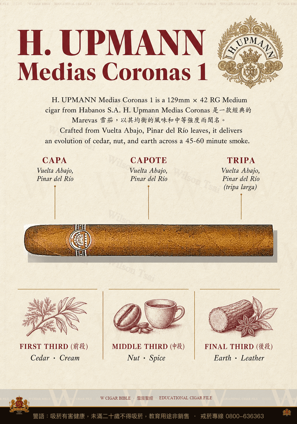 H. Upmann Medias Coronas 1 · 烏普曼