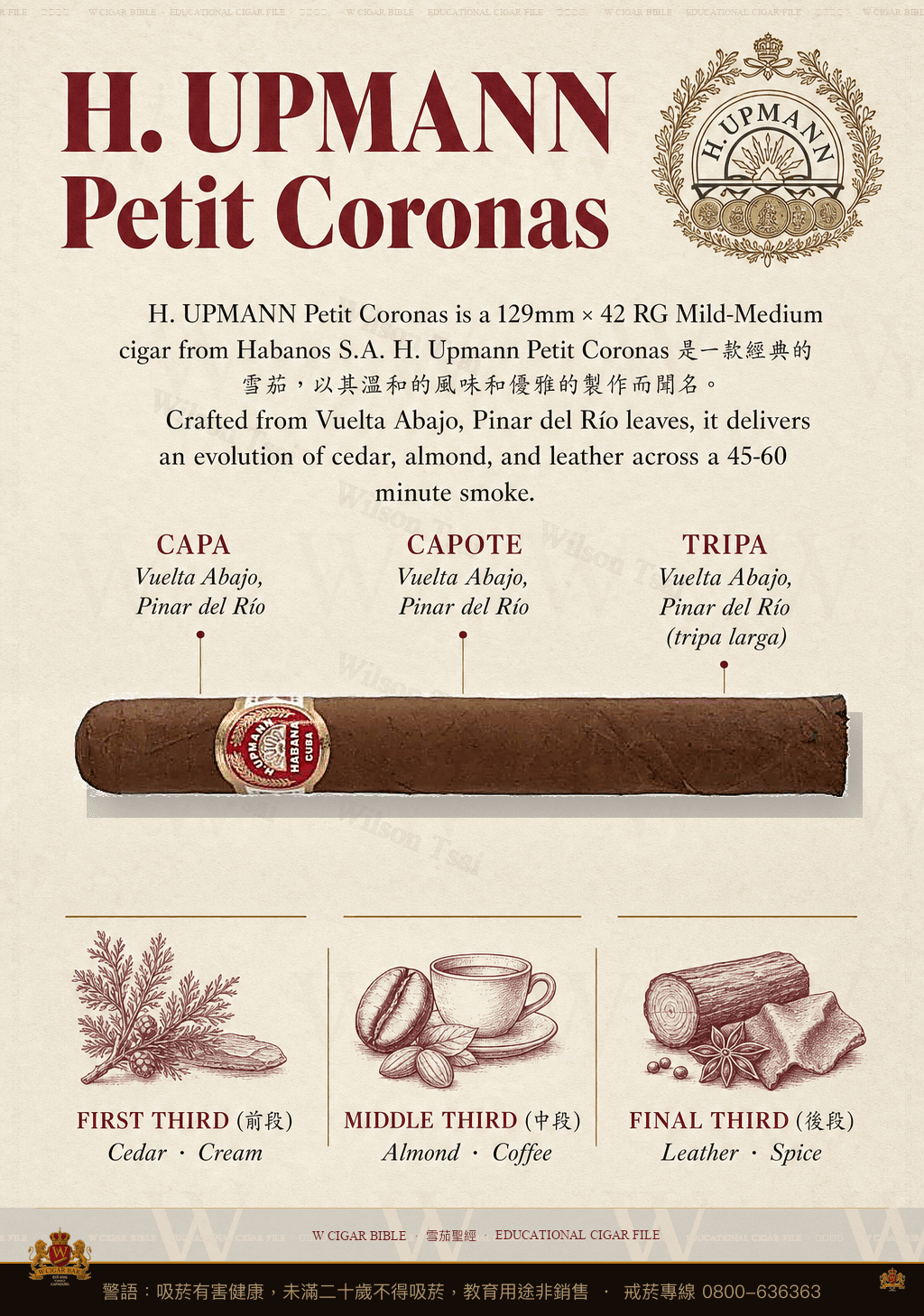 H. Upmann Petit Coronas · 烏普曼