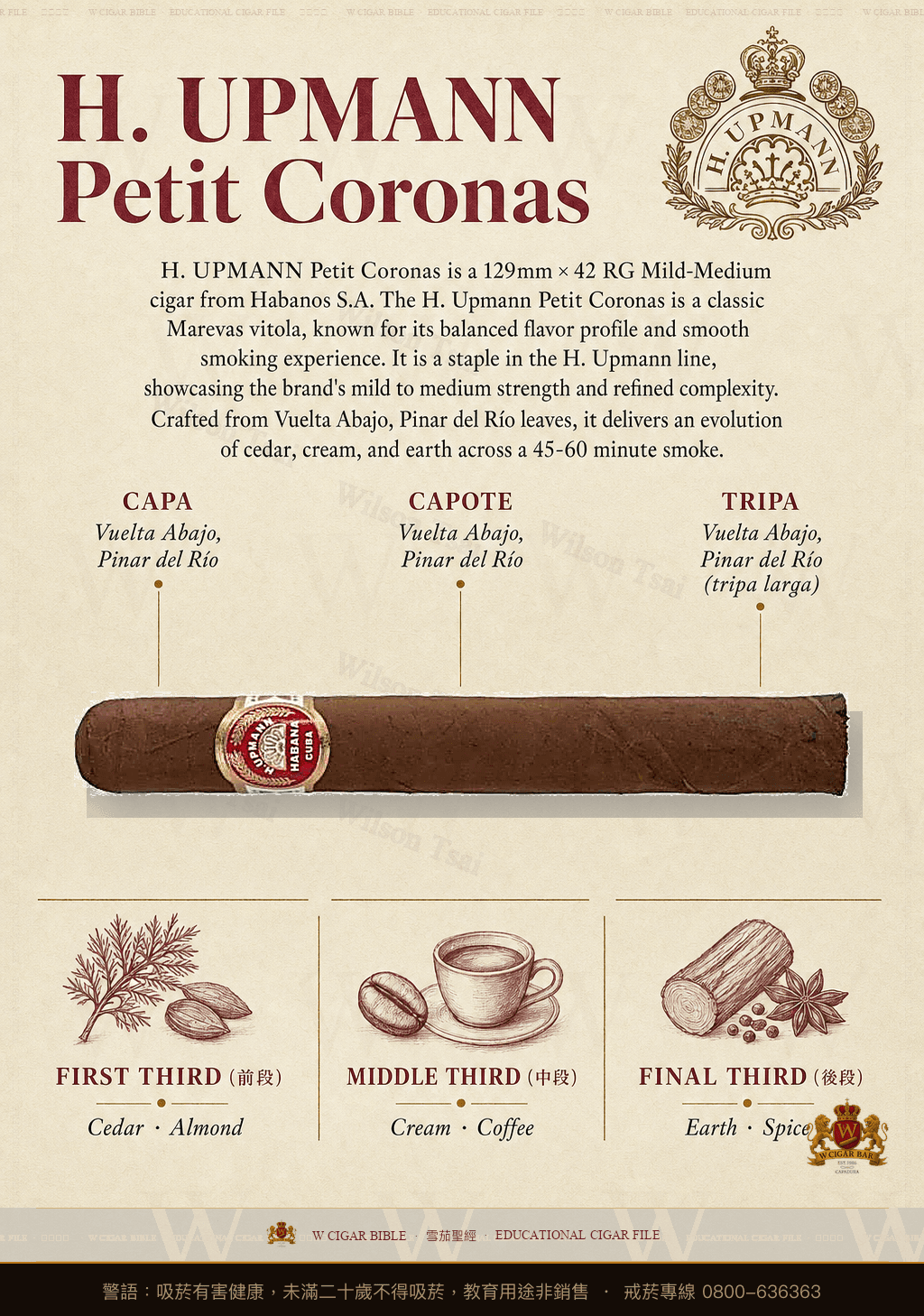 H. Upmann Petit Coronas · 烏普曼