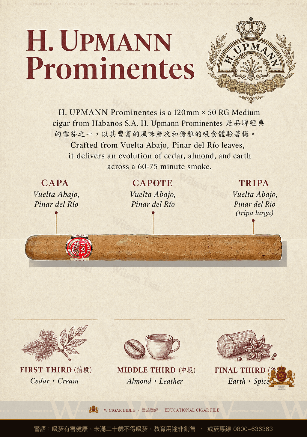 H. Upmann Prominentes · 烏普曼