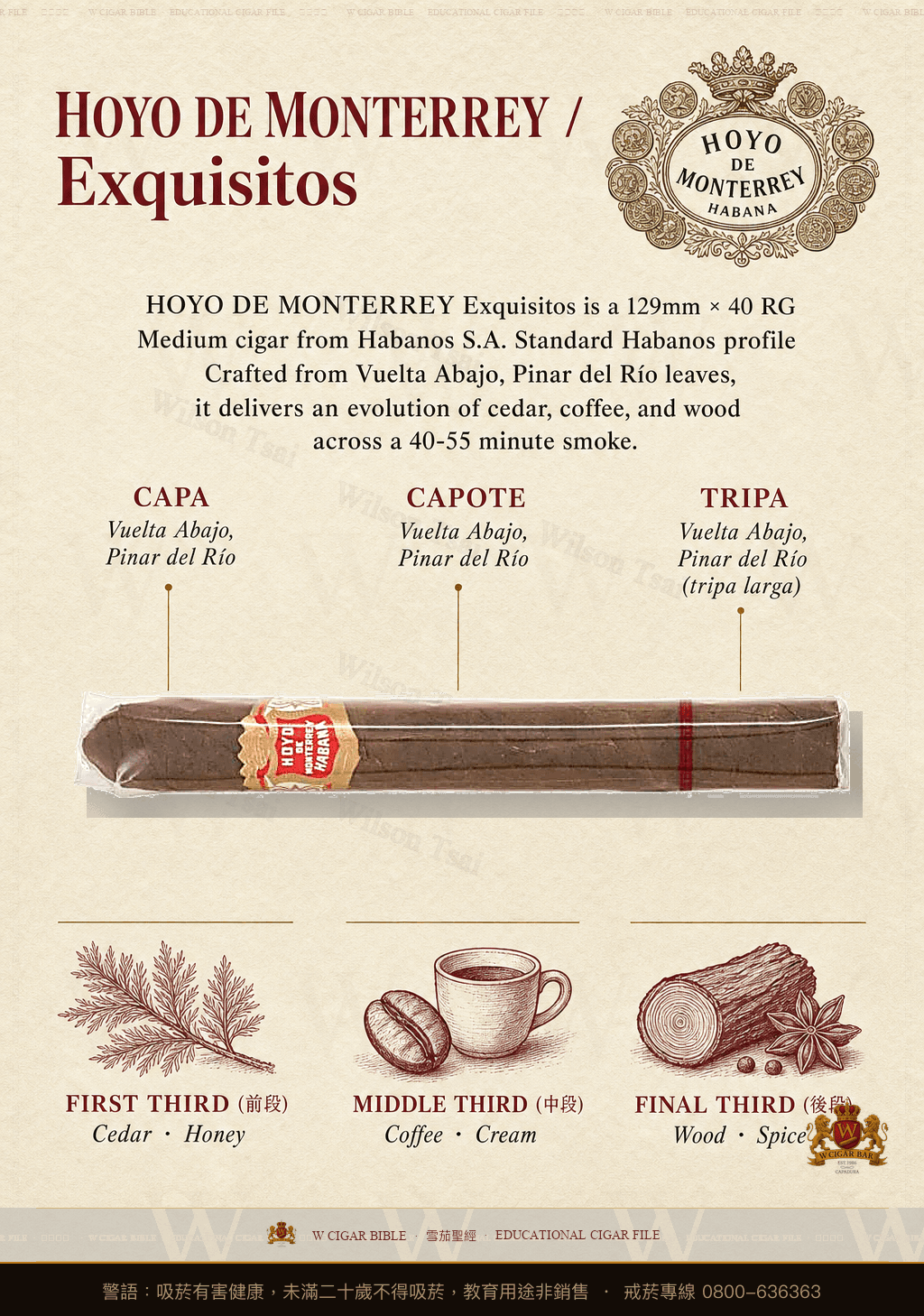 Hoyo de Monterrey Exquisitos · 好友蒙特利
