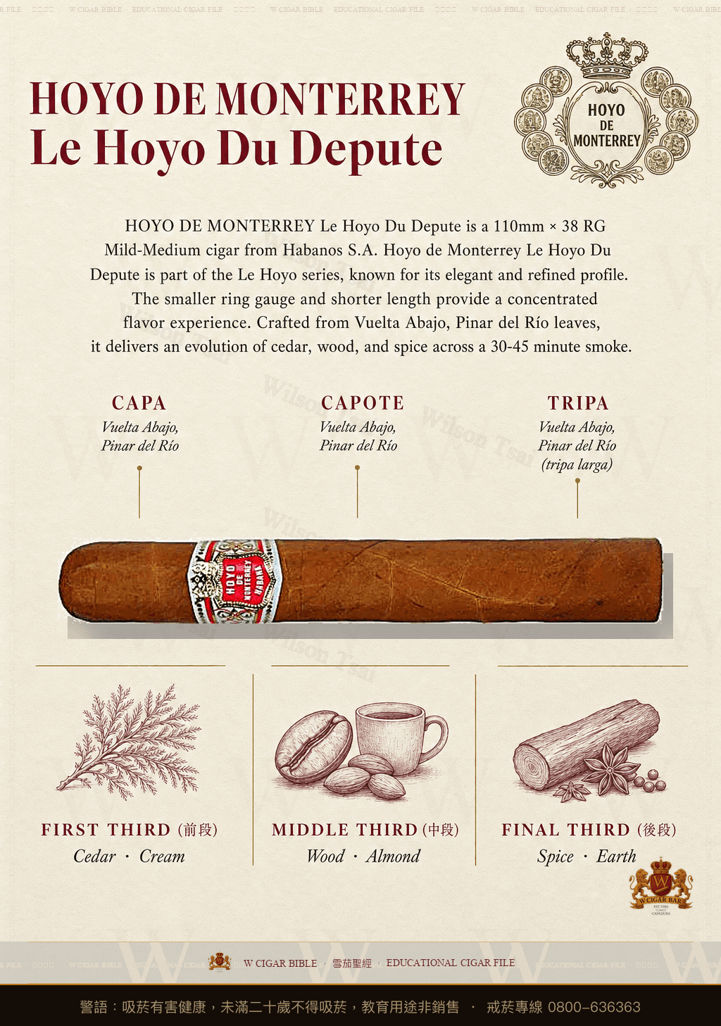 Hoyo De Monterrey Le Hoyo Du Depute · 好友蒙特利