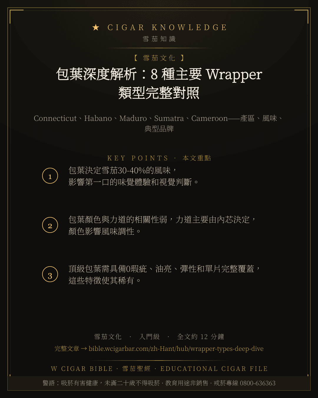 包葉深度解析:8 種主要 Wrapper 類型完整對照