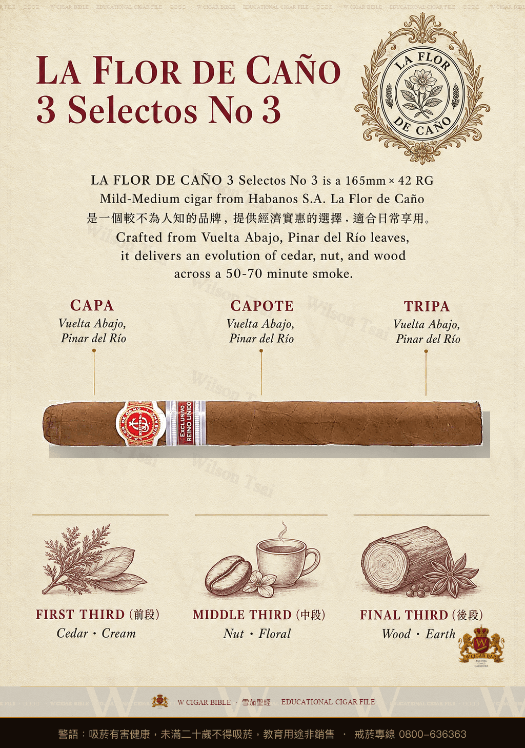 La Flor De Caño 3 Selectos No 3 · 拉佛德加諾