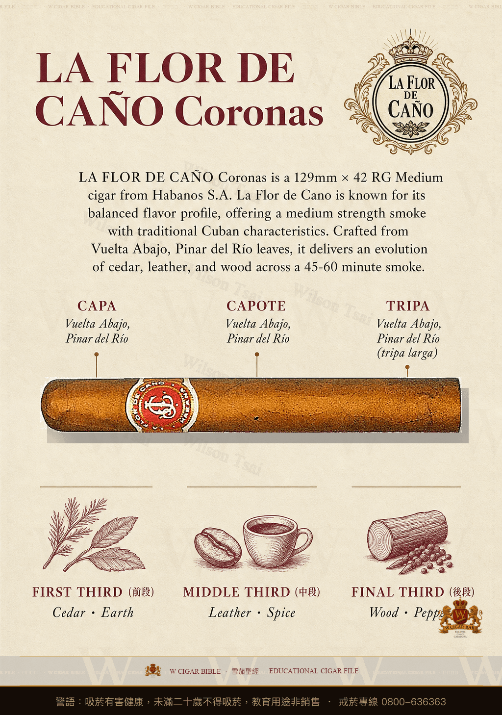 La Flor De Caño Coronas · 拉佛德加諾