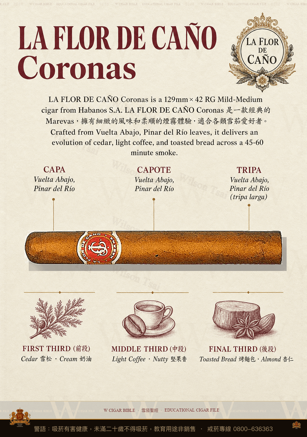 La Flor De Caño Coronas · 拉佛德加諾