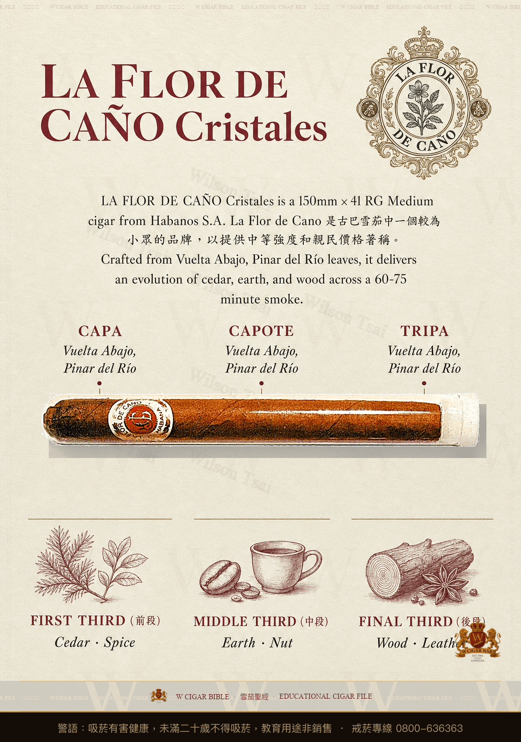 La Flor De Caño Cristales · 拉佛德加諾