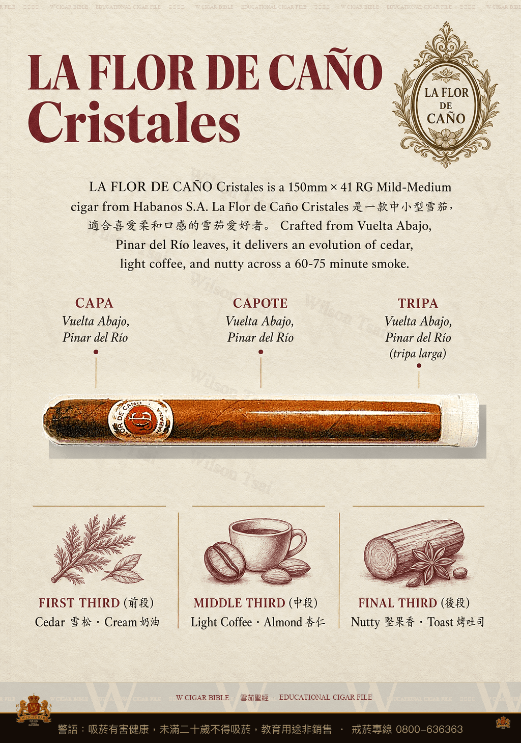 La Flor De Caño Cristales · 拉佛德加諾
