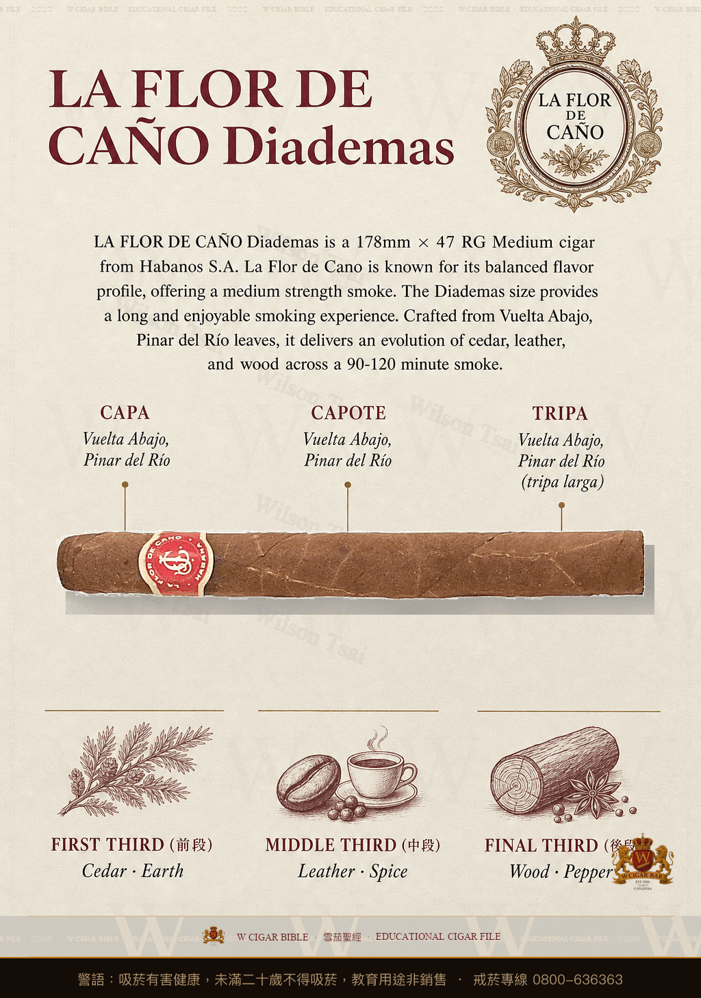 La Flor De Caño Diademas · 拉佛德加諾