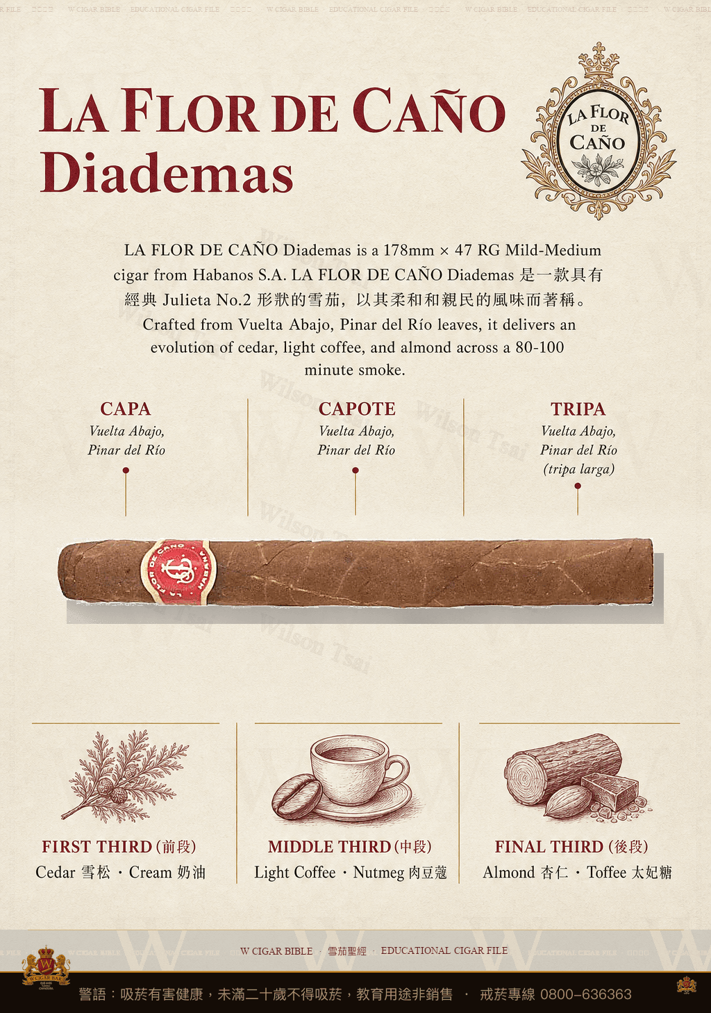 La Flor De Caño Diademas · 拉佛德加諾
