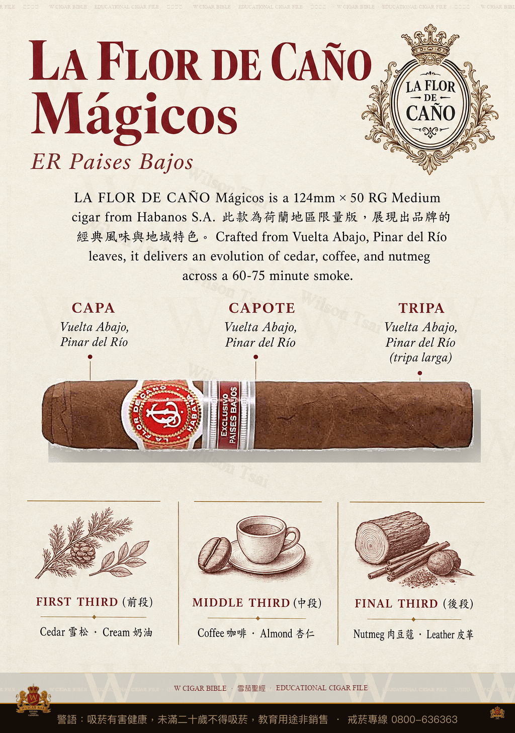 La Flor De Caño Mágicos · ER Paises Bajos · 拉佛德加諾