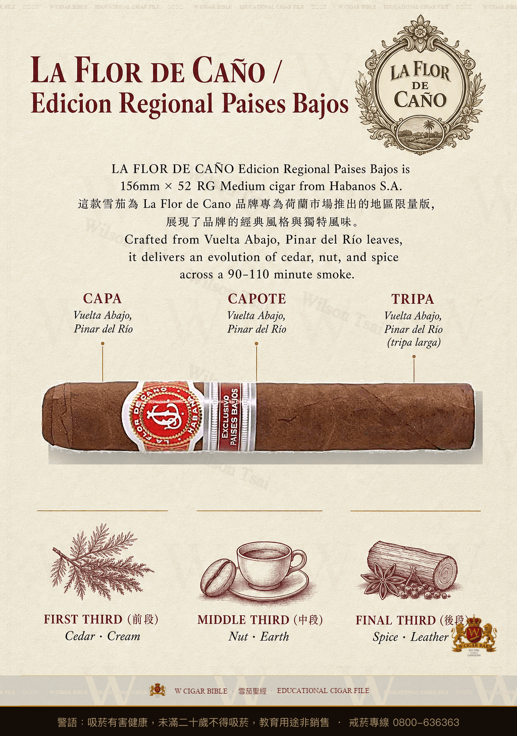 La Flor De Caño Mágicos · ER Países Bajos · 拉佛德加諾