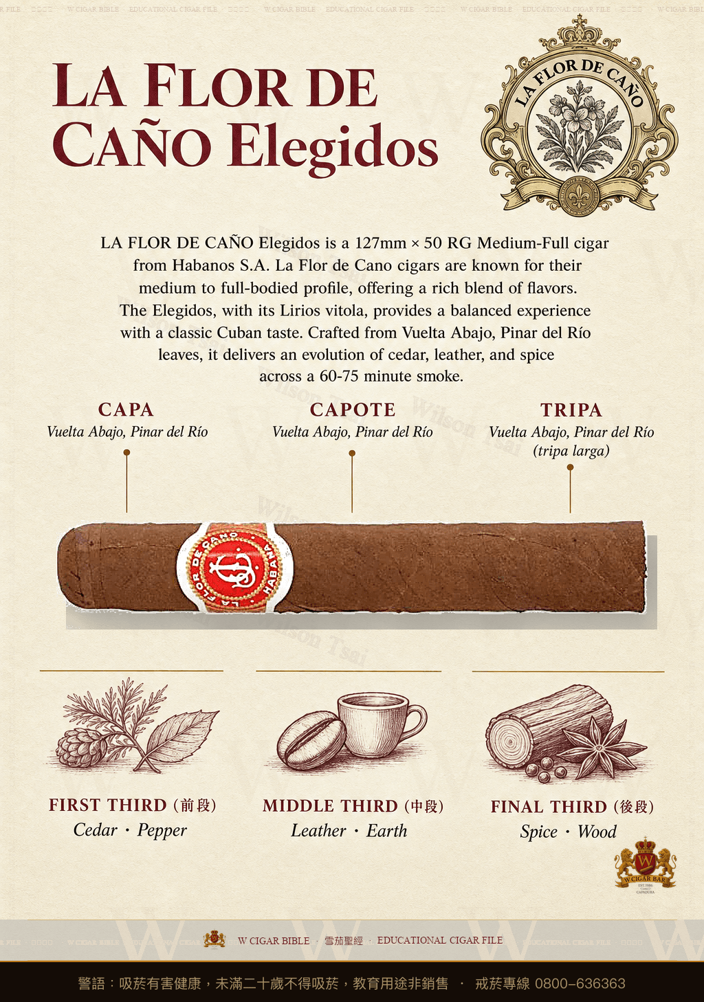 La Flor De Caño Elegidos · 拉佛德加諾