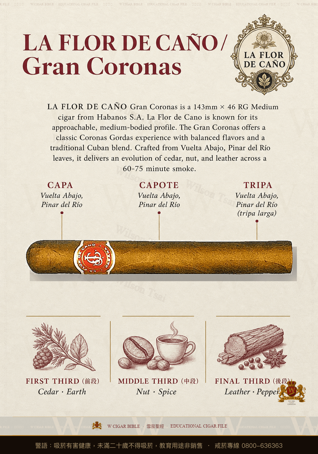 La Flor De Caño Gran Coronas · 拉佛德加諾