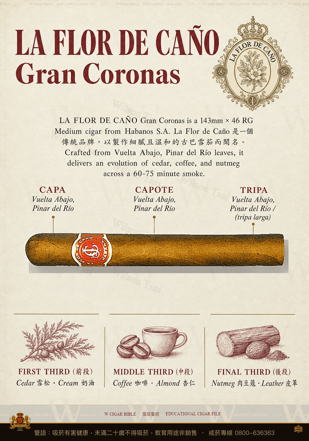 La Flor De Caño Gran Coronas · 拉佛德加諾