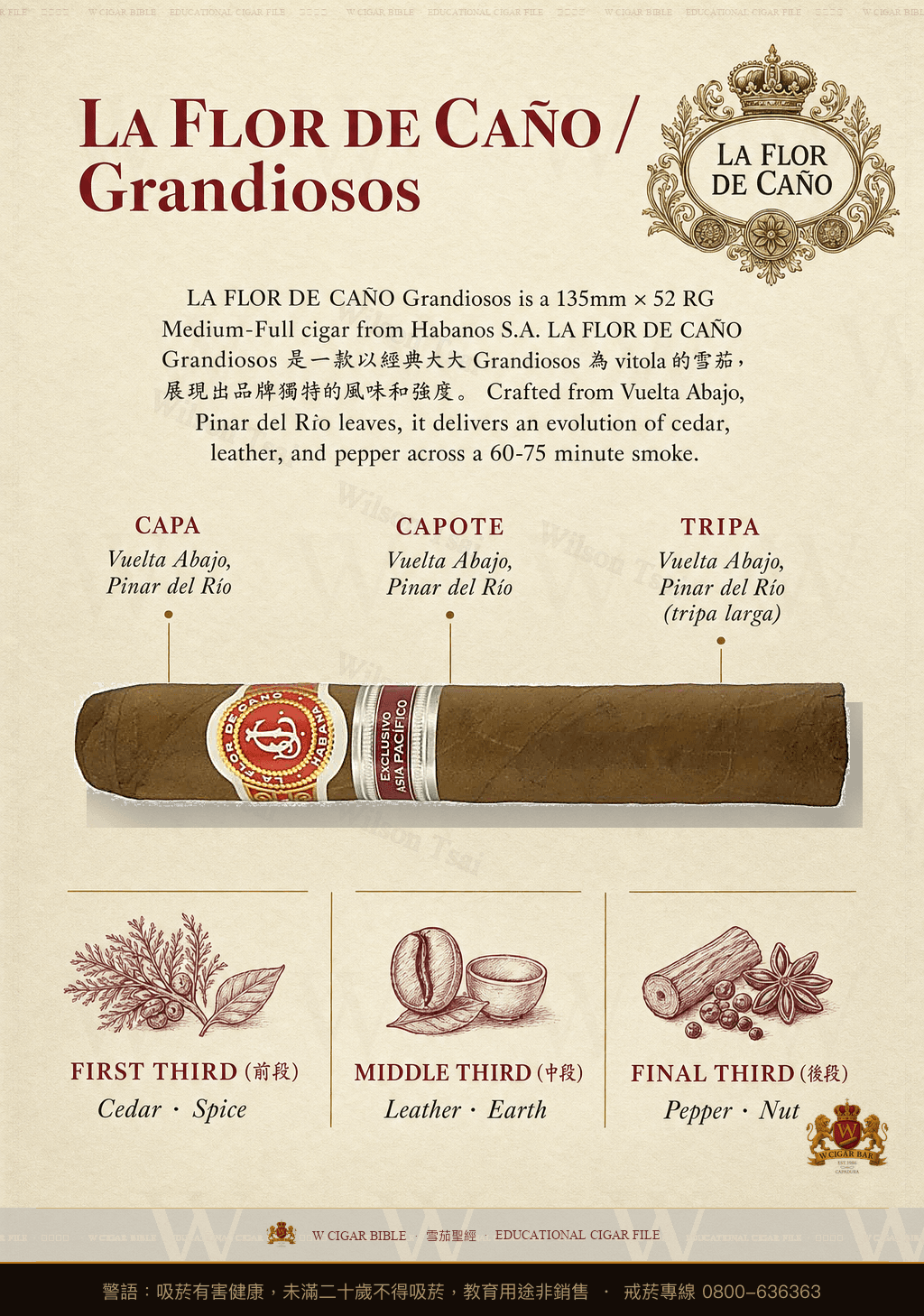La Flor De Caño Grandiosos · 拉佛德加諾