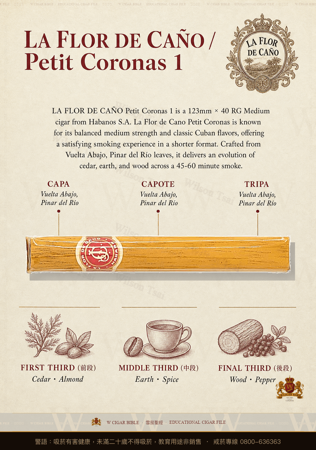 La Flor De Caño Petit Coronas 1 · 拉佛德加諾