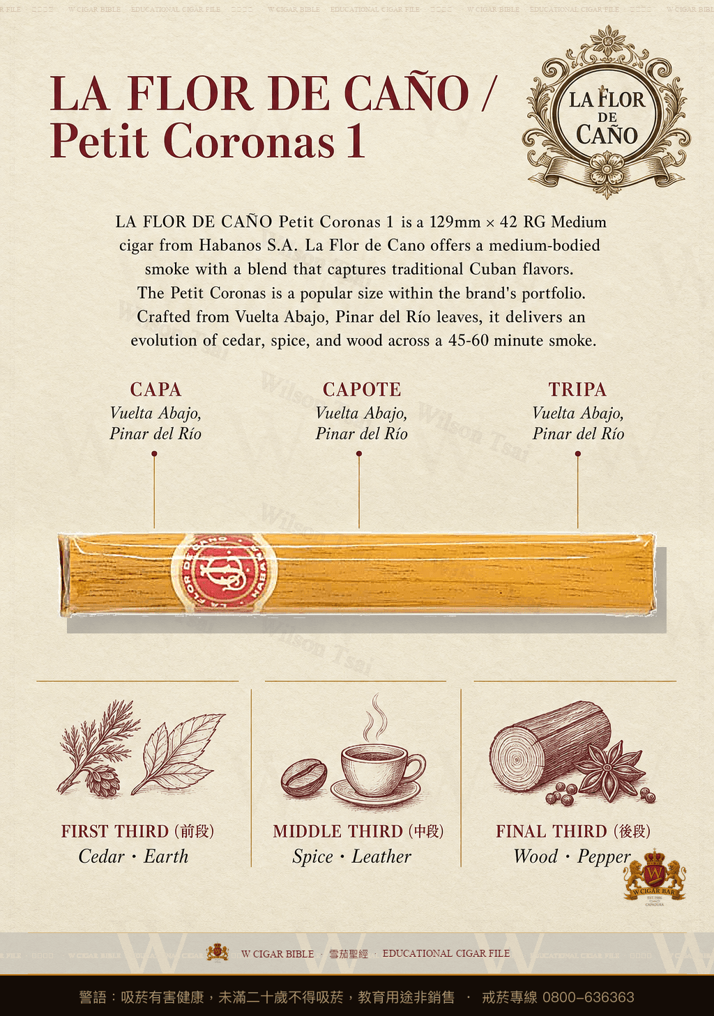 La Flor De Caño Petit Coronas 1 · 拉佛德加諾