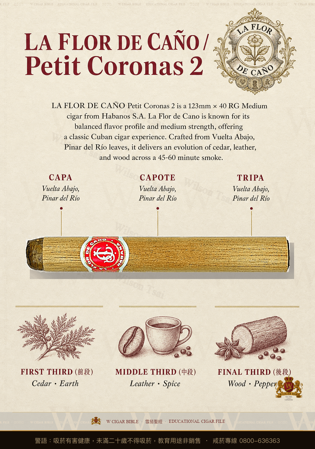 La Flor De Caño Petit Coronas 2 · 拉佛德加諾