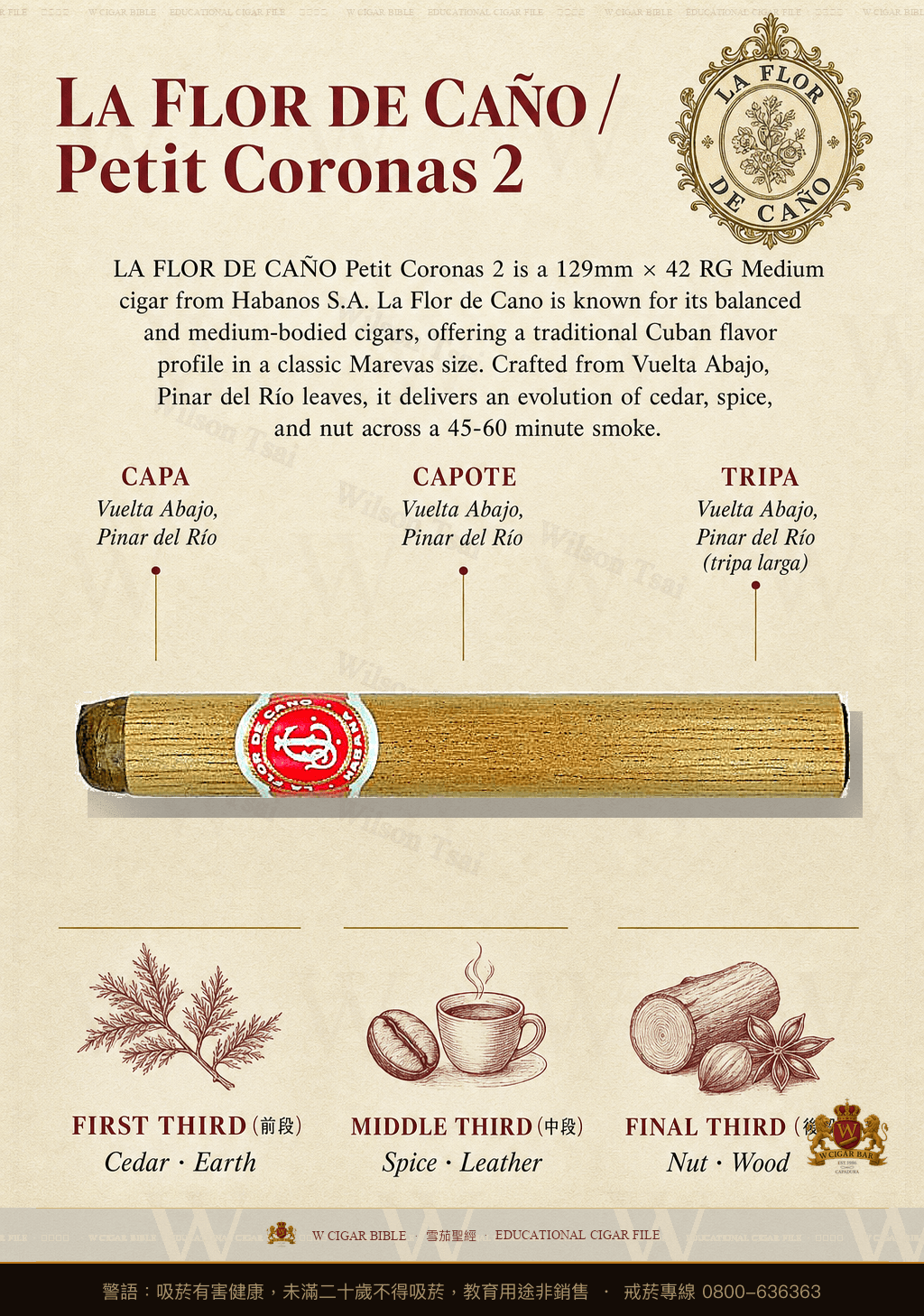 La Flor De Caño Petit Coronas 2 · 拉佛德加諾