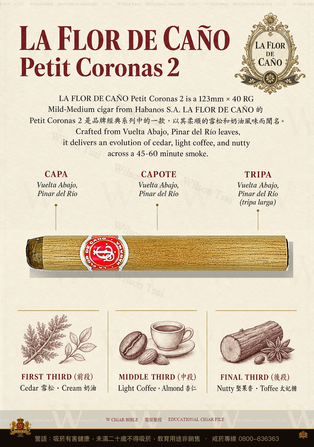 La Flor De Caño Petit Coronas 2 · 拉佛德加諾